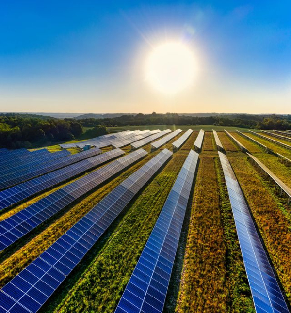 Harvest Water from the Air