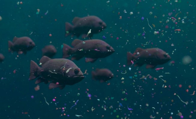 Robot fish could solve microplastic pollution