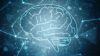Can a Chip Make Us Smarter?